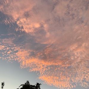 Meet your Posher, Karis